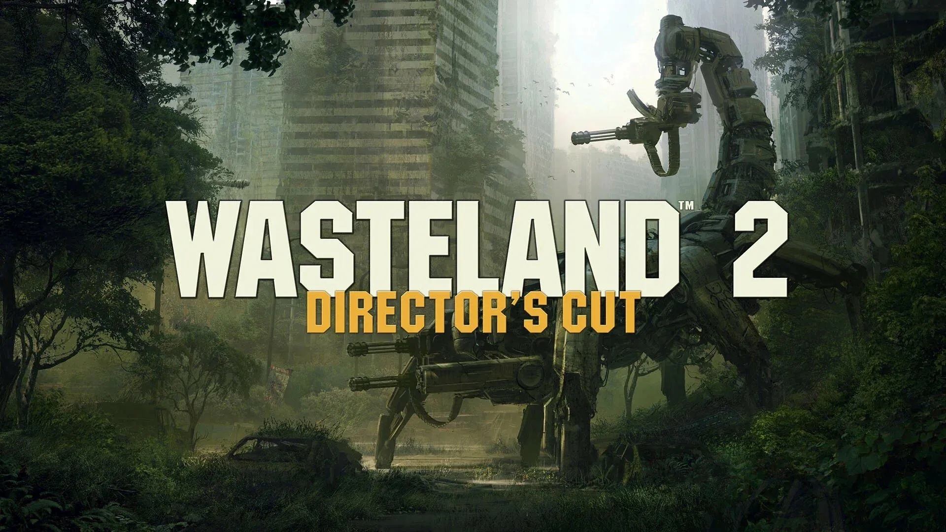Wasteland 2: Director's Cut